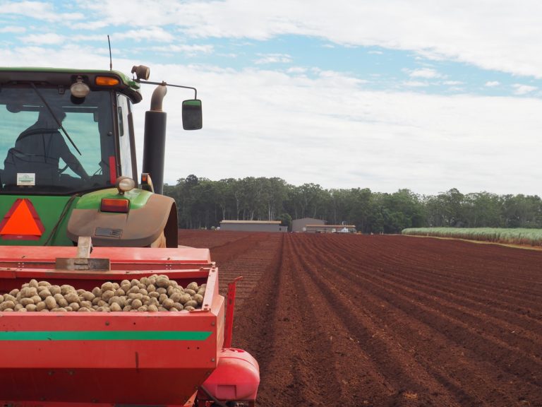 2017 Potato planting begins