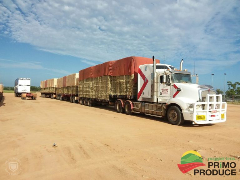 Smith Bros. Transport delivering Primo Hay